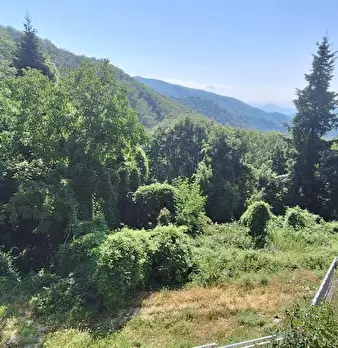 Foto annuncio 16