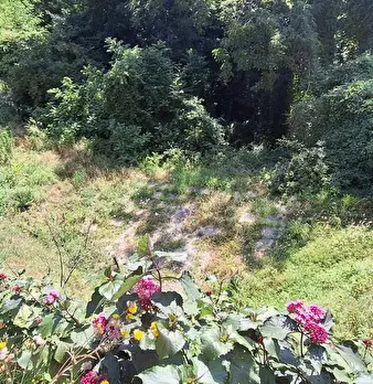 Foto annuncio 8