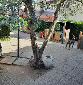 Foto annuncio 28