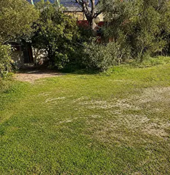 Foto annuncio 13