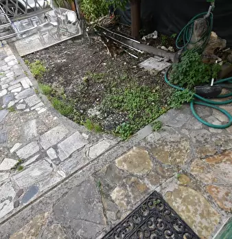 Foto annuncio 6