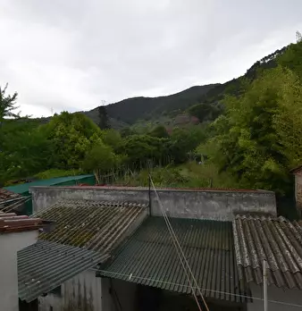 Foto annuncio 37