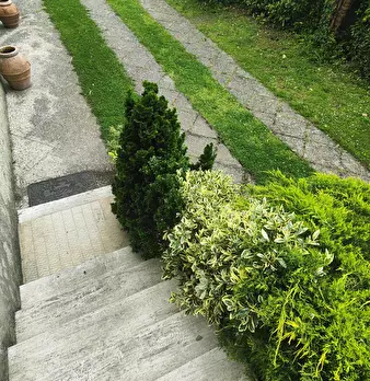 Foto annuncio 24