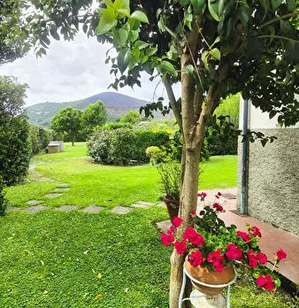 Foto annuncio 8