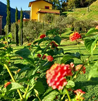Foto annuncio 9