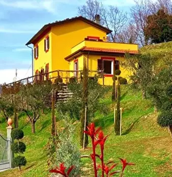 Foto annuncio 1