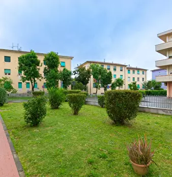 Foto annuncio 31
