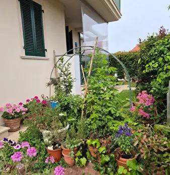 Foto annuncio 3