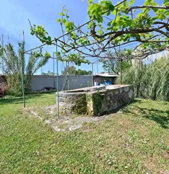 Foto annuncio 55