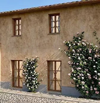 Foto annuncio 6