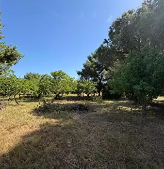 Foto annuncio 17
