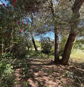 Foto annuncio 12
