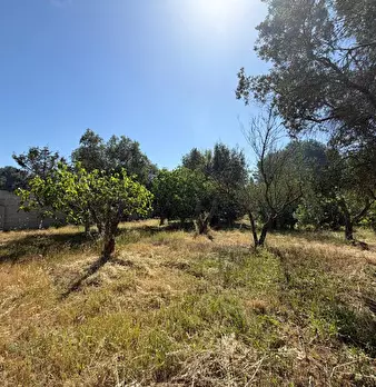 Foto annuncio 4