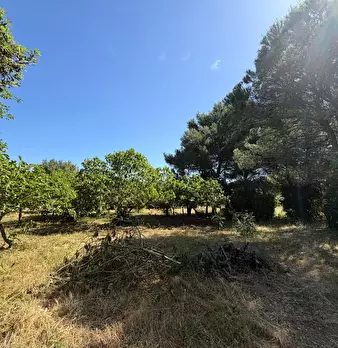 Foto annuncio 11