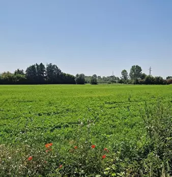 Foto annuncio 29