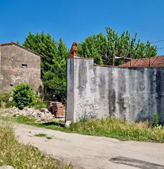 Foto annuncio 20