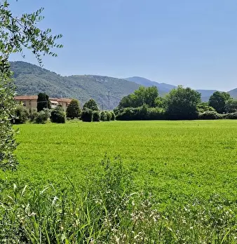 Foto annuncio 27