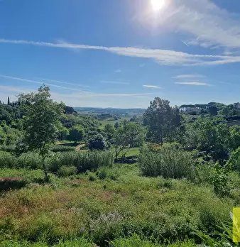 Foto annuncio 39