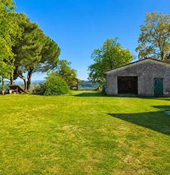 Foto annuncio 16