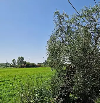 Foto annuncio 27