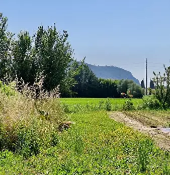 Foto annuncio 19