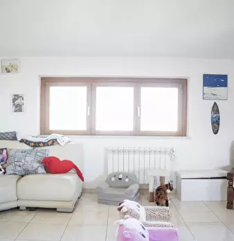 Foto annuncio 6