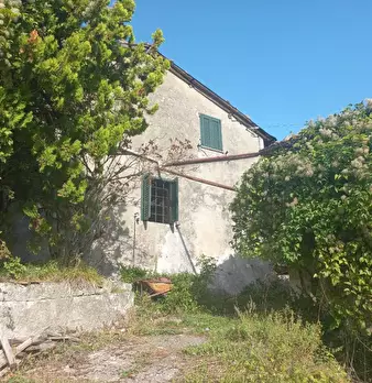 Foto annuncio 4