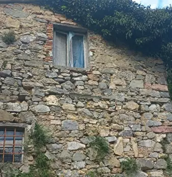 Foto annuncio 21