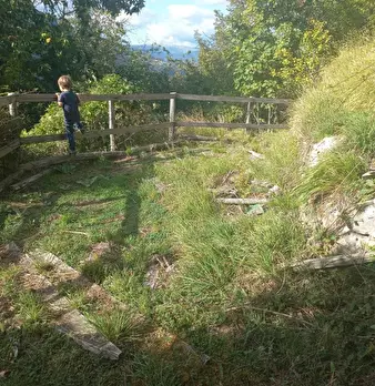 Foto annuncio 8