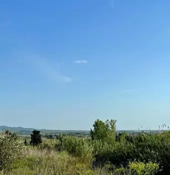 Foto annuncio 4