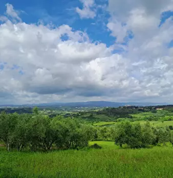 Foto annuncio 10