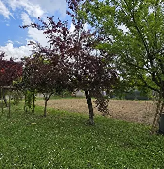 Foto annuncio 20