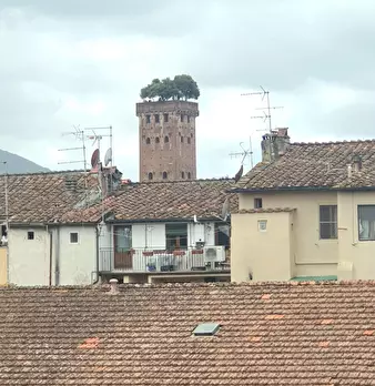 Foto annuncio 20