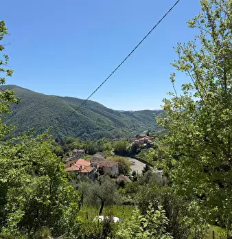 Foto annuncio 29