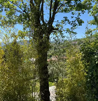 Foto annuncio 33