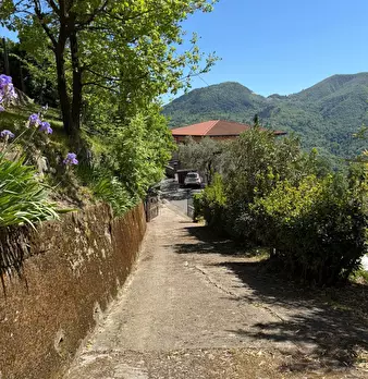 Foto annuncio 35