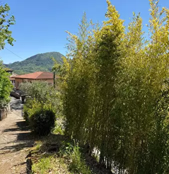 Foto annuncio 34