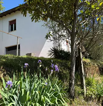Foto annuncio 32