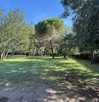 Foto annuncio 28