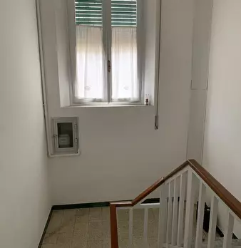 Foto annuncio 13