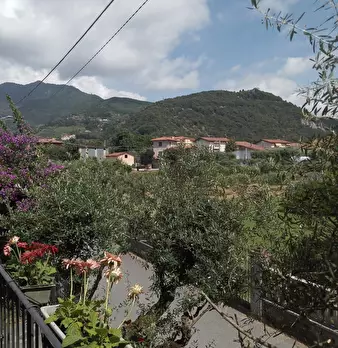 Foto annuncio 27