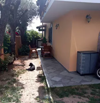 Foto annuncio 3