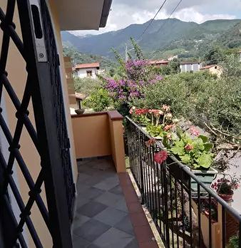 Foto annuncio 26