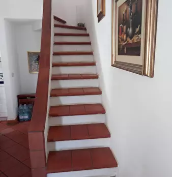 Foto annuncio 18