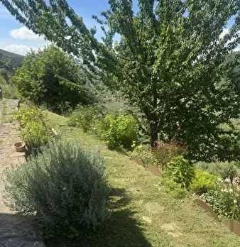 Foto annuncio 12
