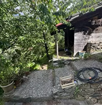 Foto annuncio 31