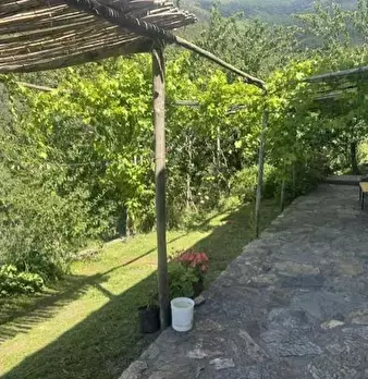 Foto annuncio 24
