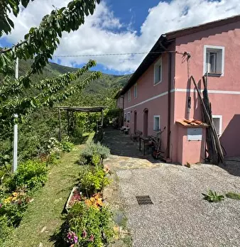 Foto annuncio 1