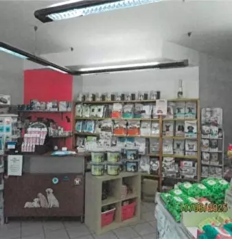 Foto annuncio 5
