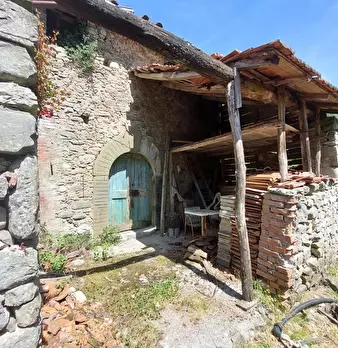 Foto annuncio 8